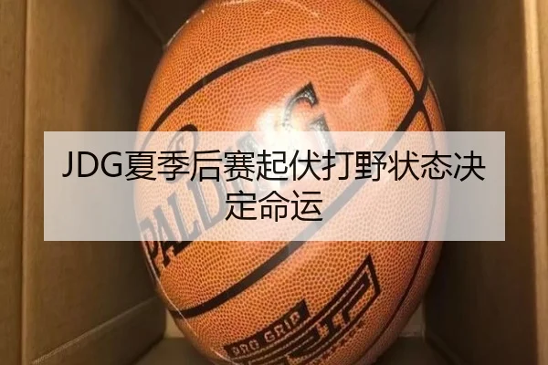 JDG夏季后赛起伏打野状态决定命运