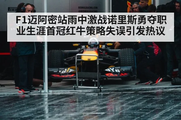 Red Bull racing pit stop