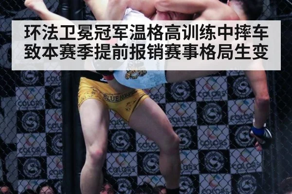 环法卫冕冠军温格高训练中摔车致本赛季提前报销赛事格局生变